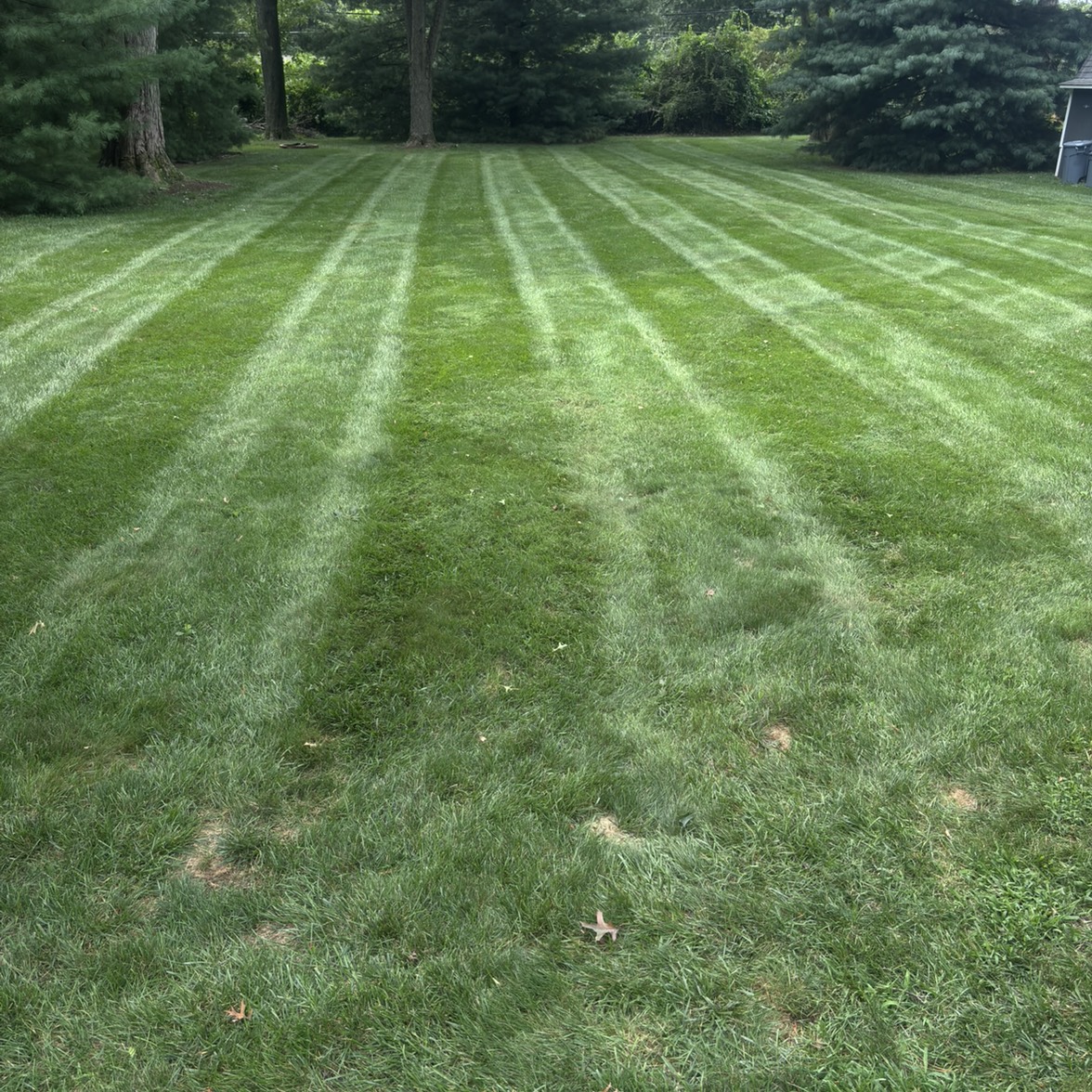 Southward And Sons Landscape N Lawn Care