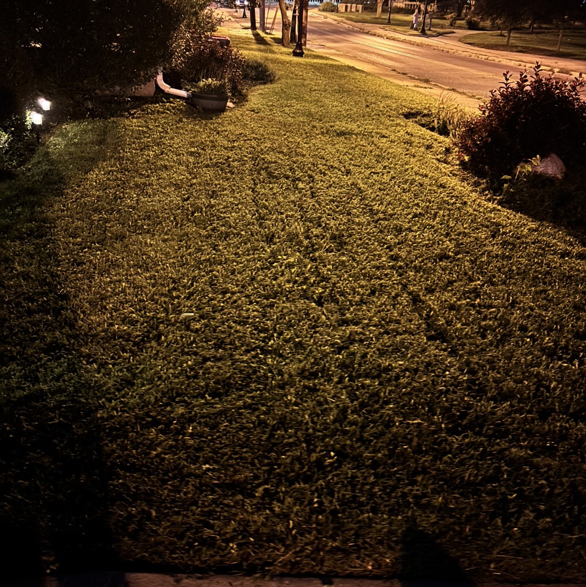 Mowing and weedeatijg