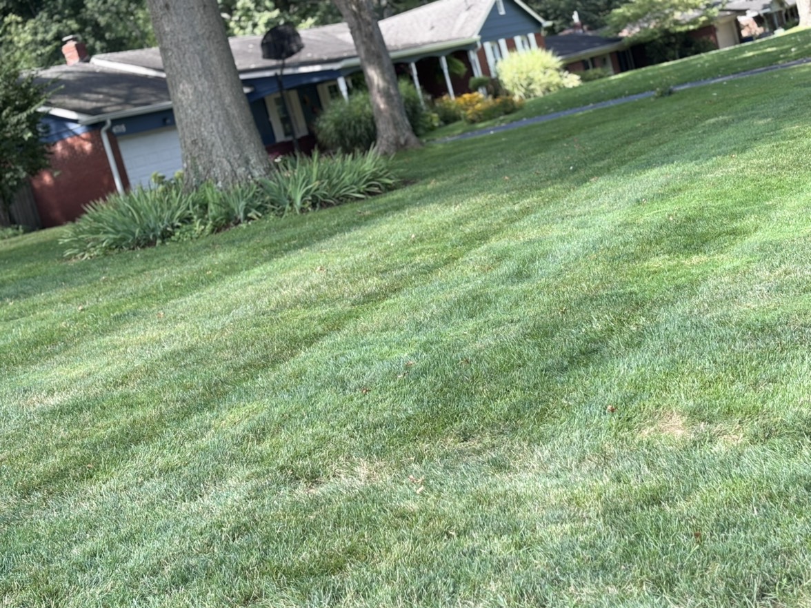Showcase work by Southward And Sons Landscape N Lawn Care