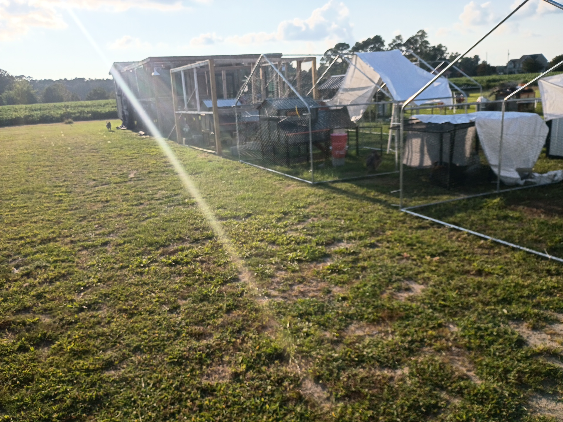 Showcase work by Mikeys Lawn Service And More