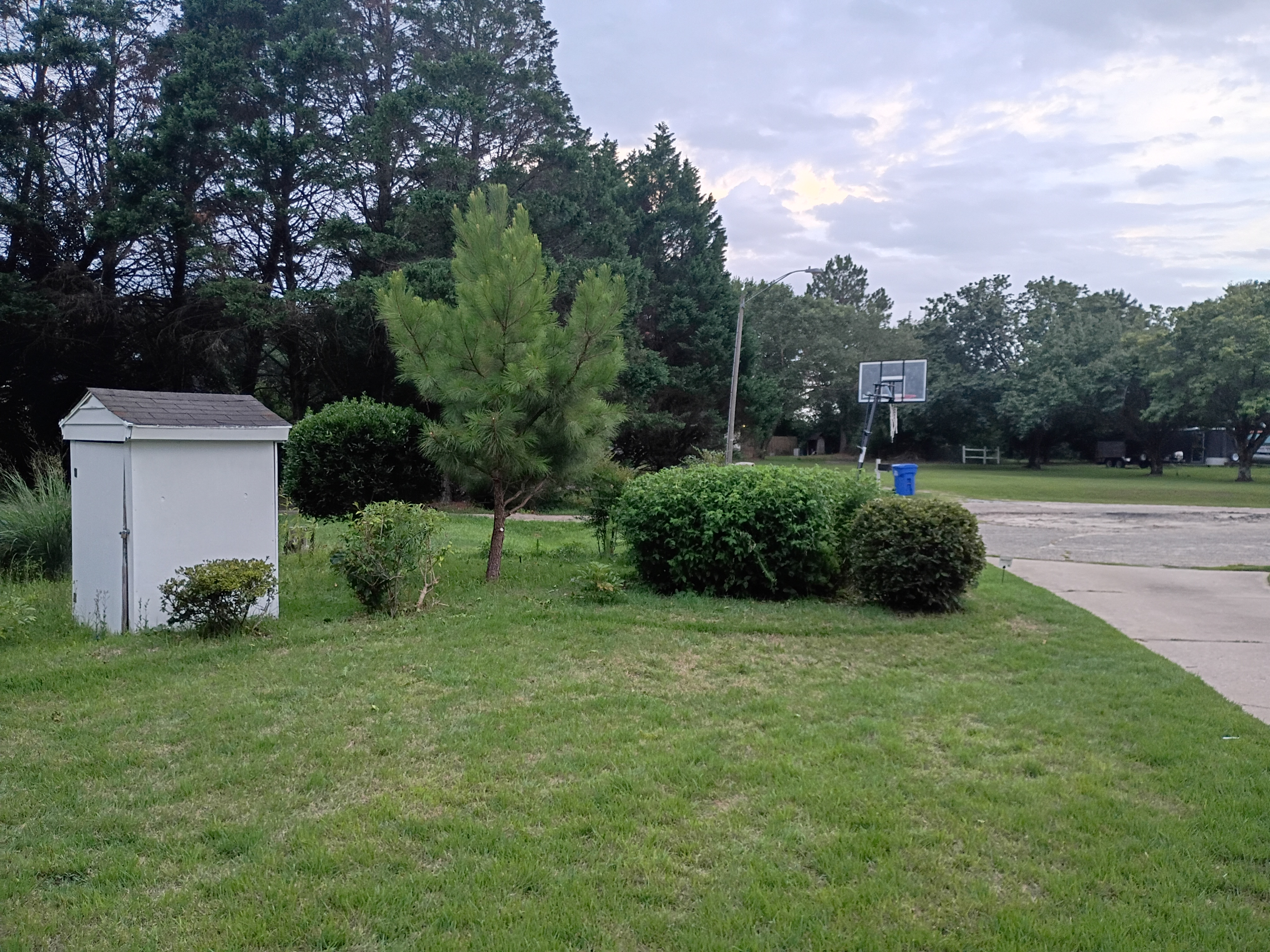Showcase work by Mikeys Lawn Service And More