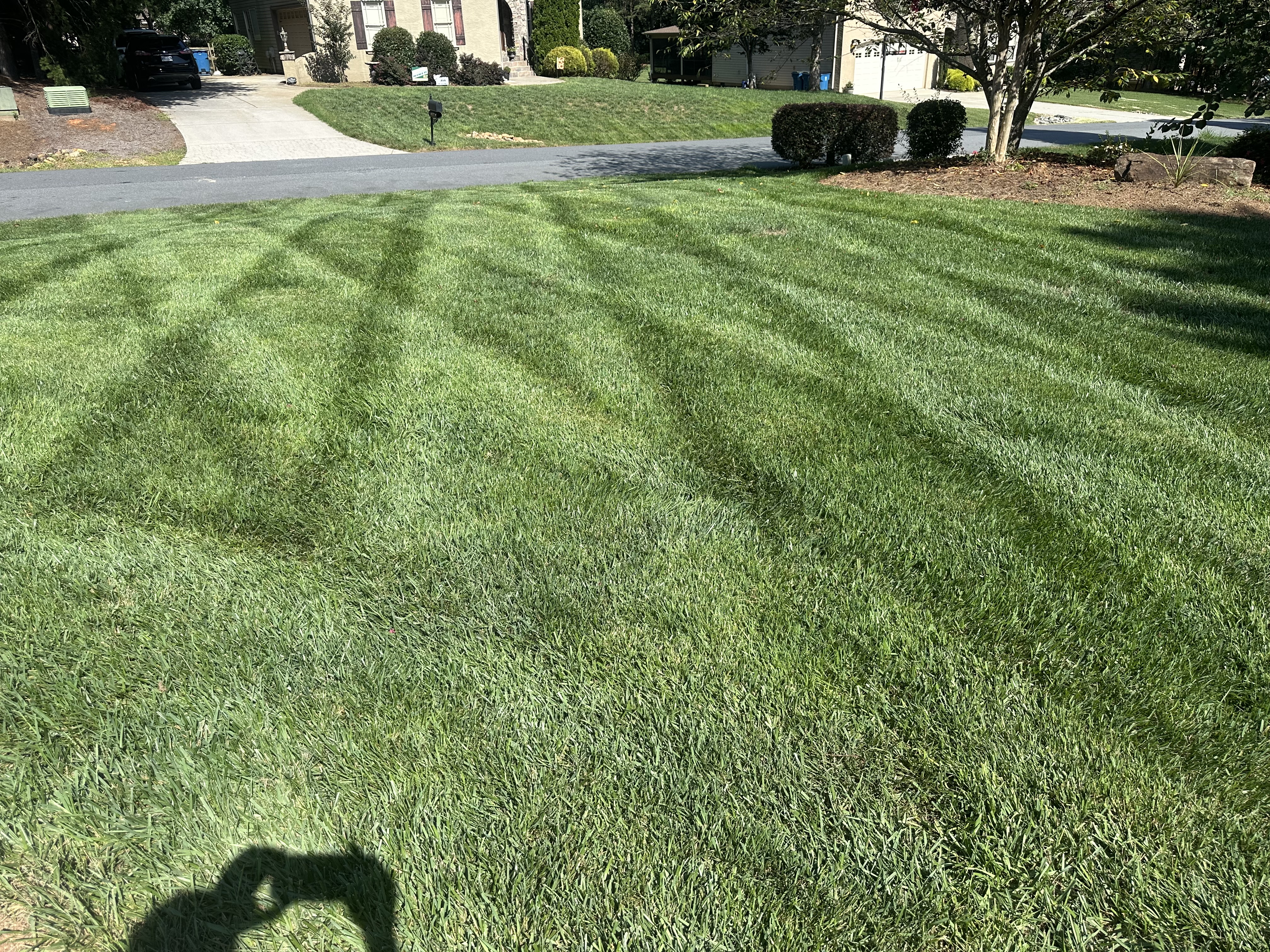 Lakeshore Lawn Care