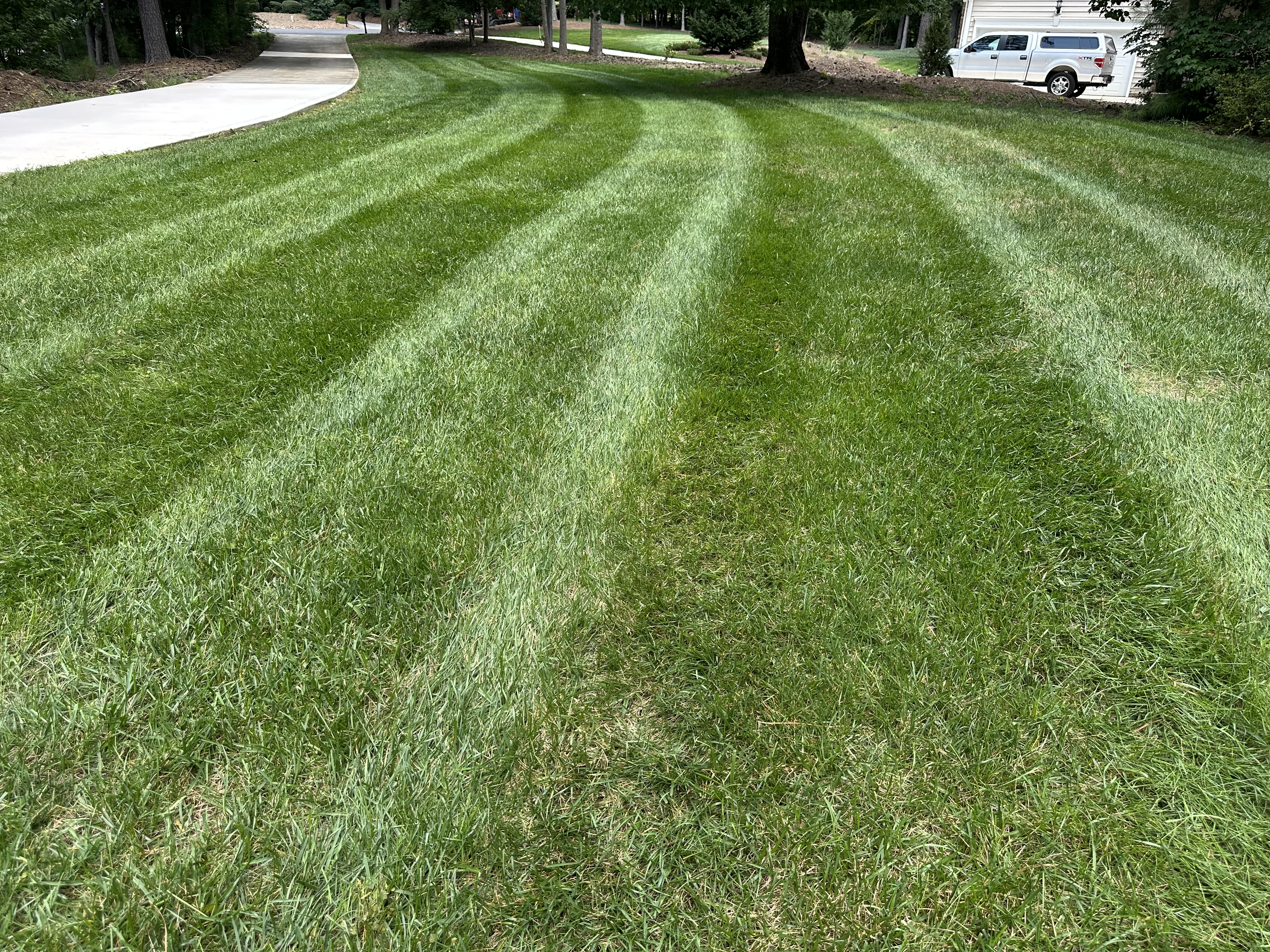 Showcase work by Lakeshore Lawn Care