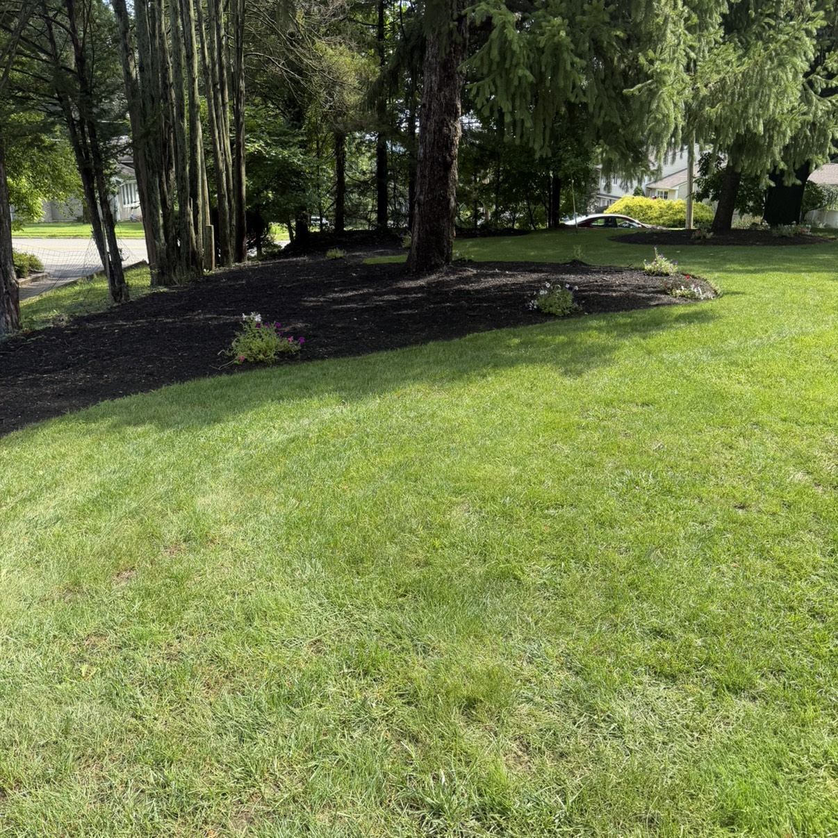 Showcase work by Green Goblin Services
