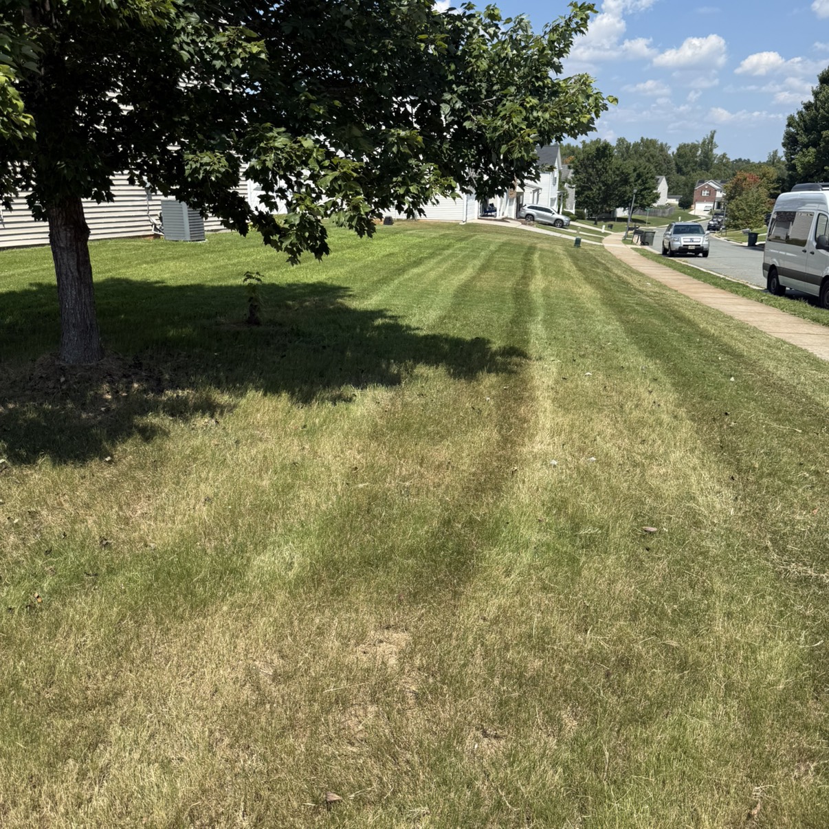 Edmonds Lawn Services