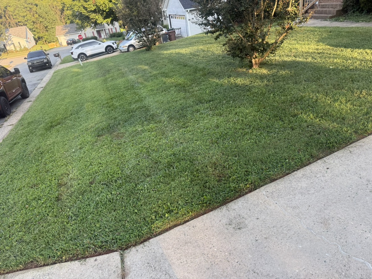 Showcase work by Edmonds Lawn Services