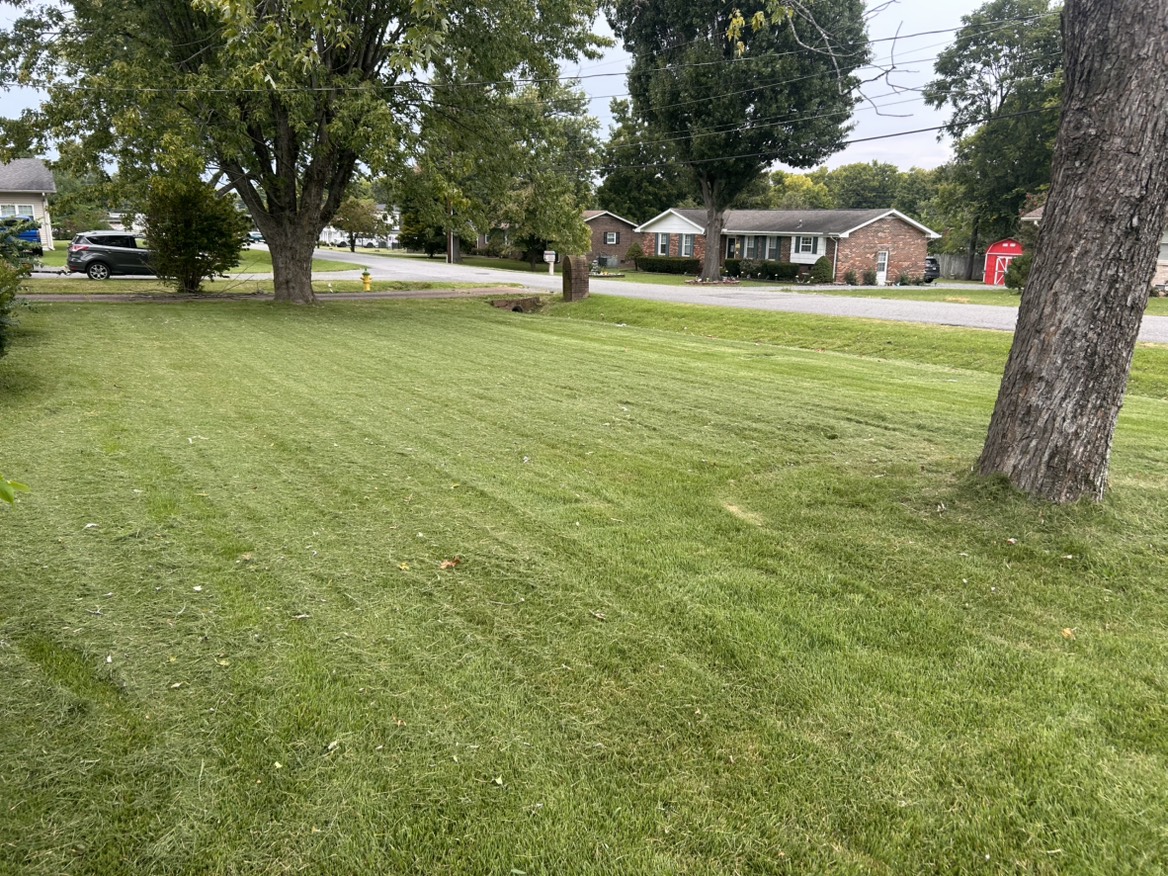 CCS Property Maintenance