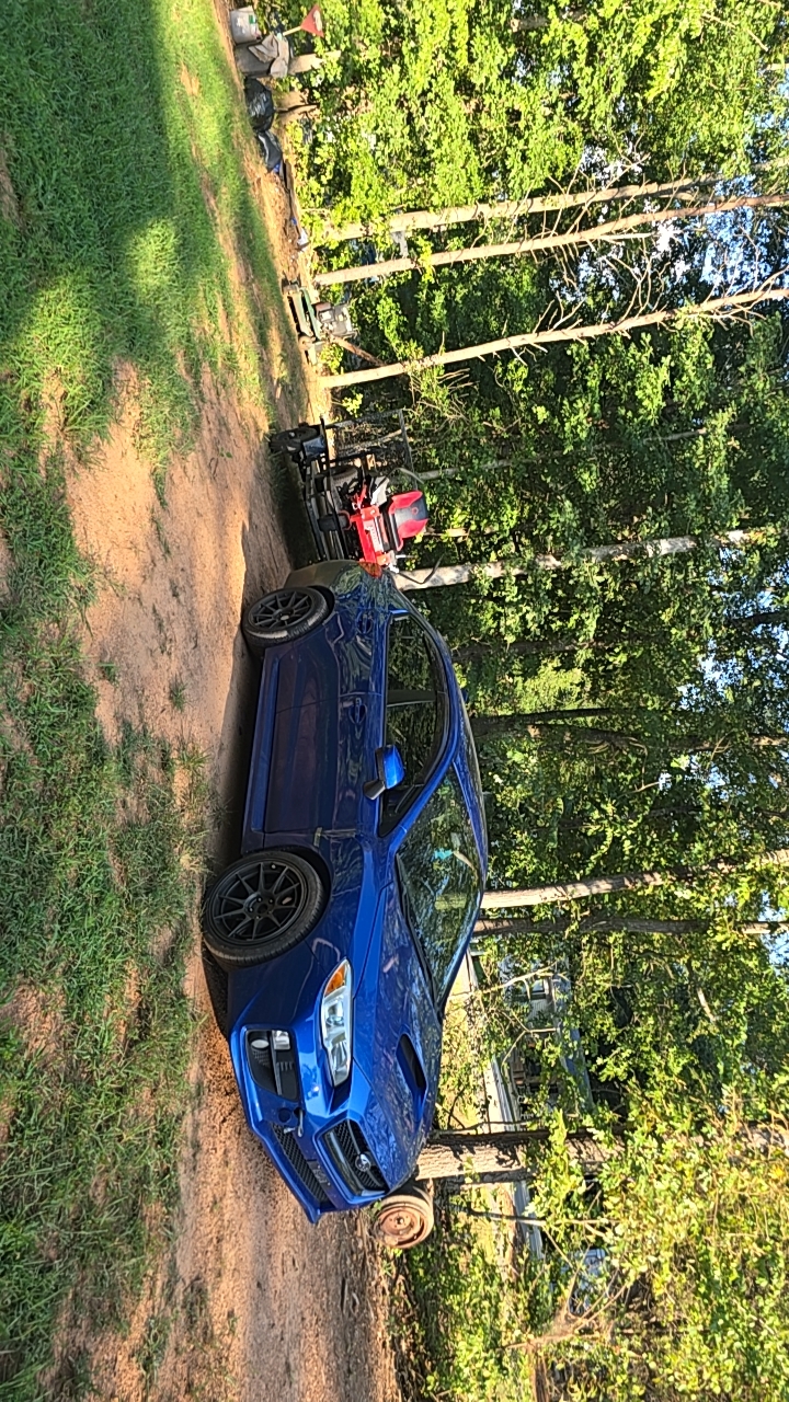 Showcase work by MROZ landscaping LLC
