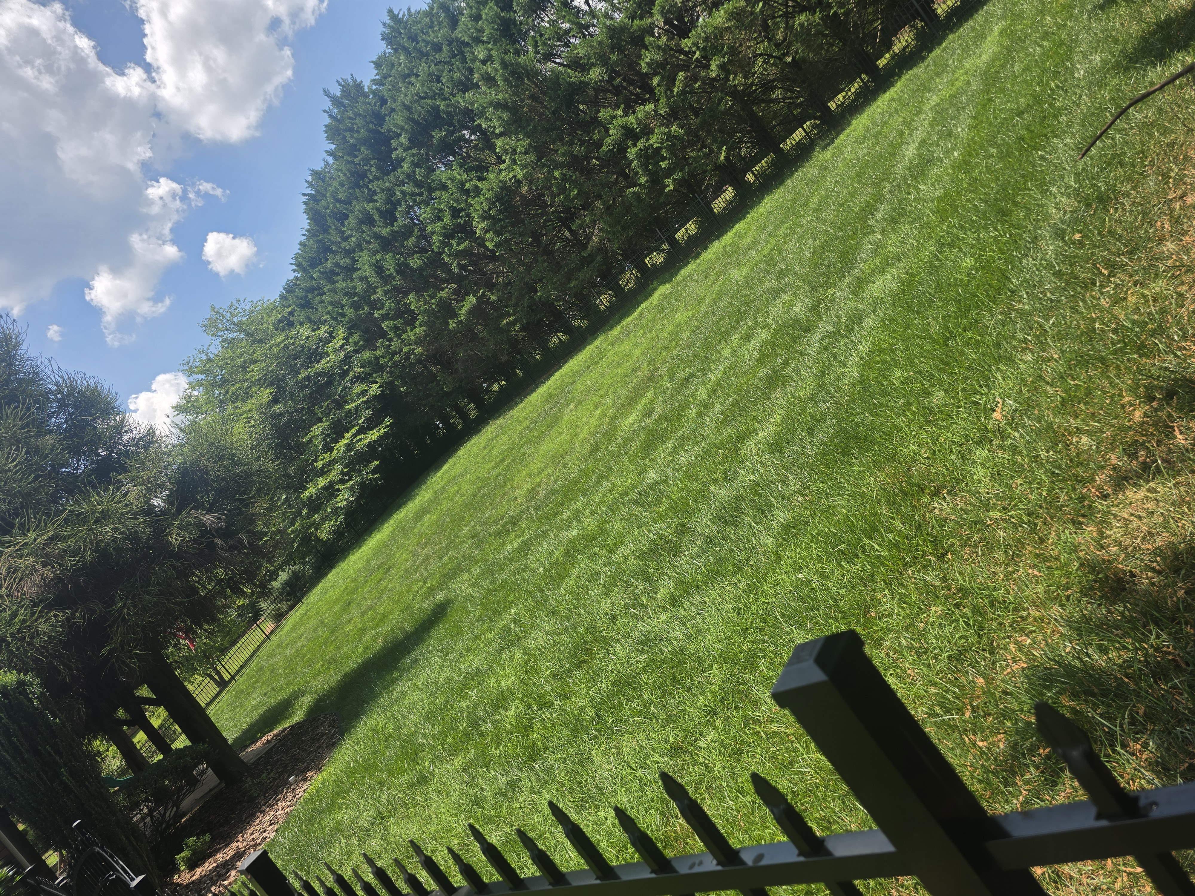 Showcase work by MROZ landscaping LLC