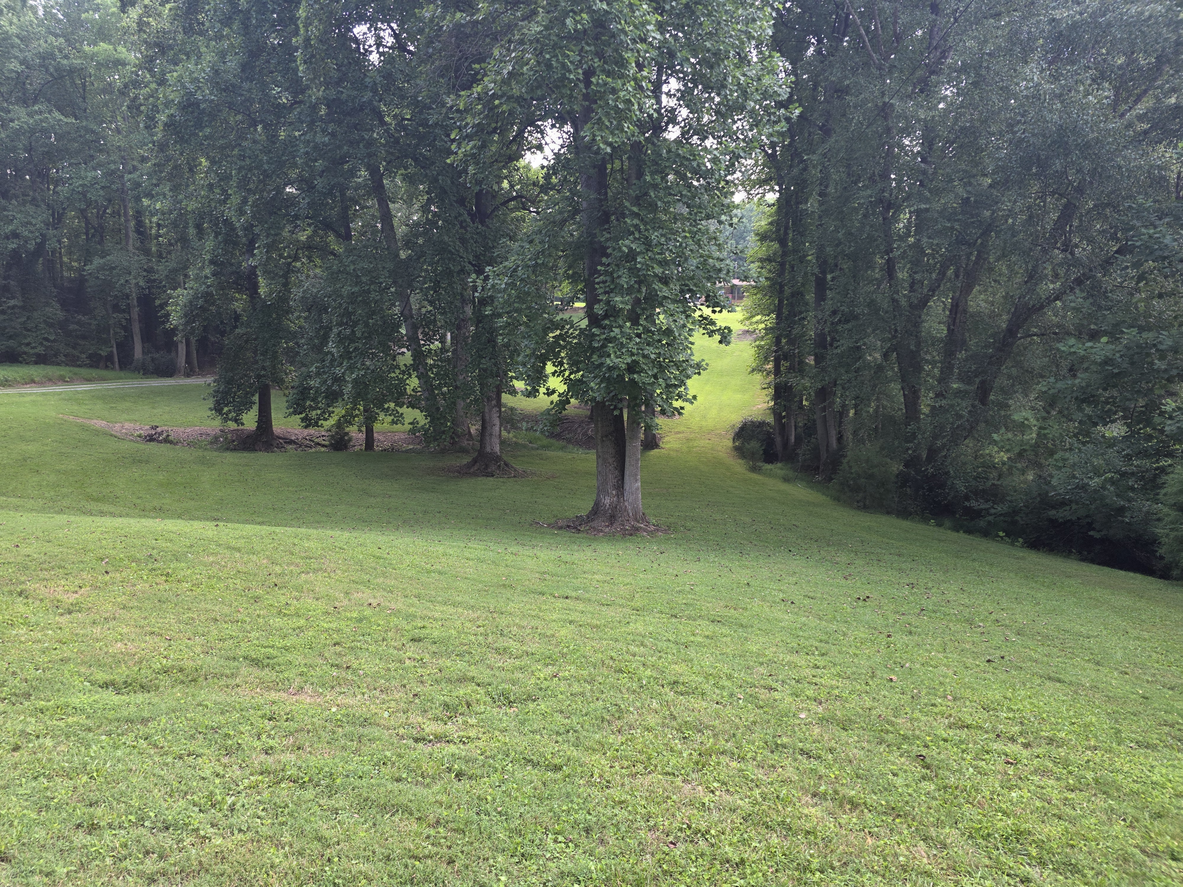 Showcase work by Shaffer's Lawn Care LLC