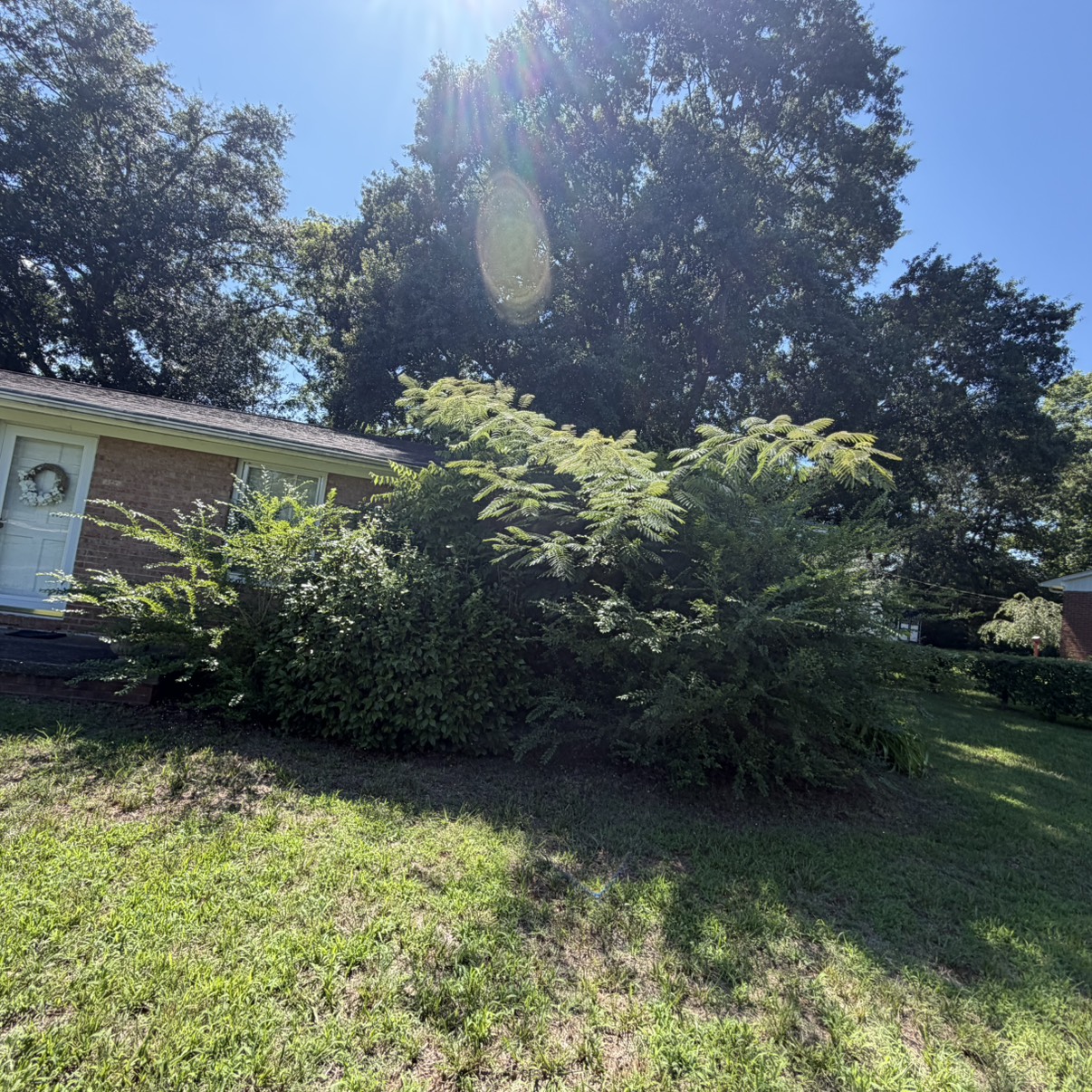 Showcase work by Lokutz Lawn Service