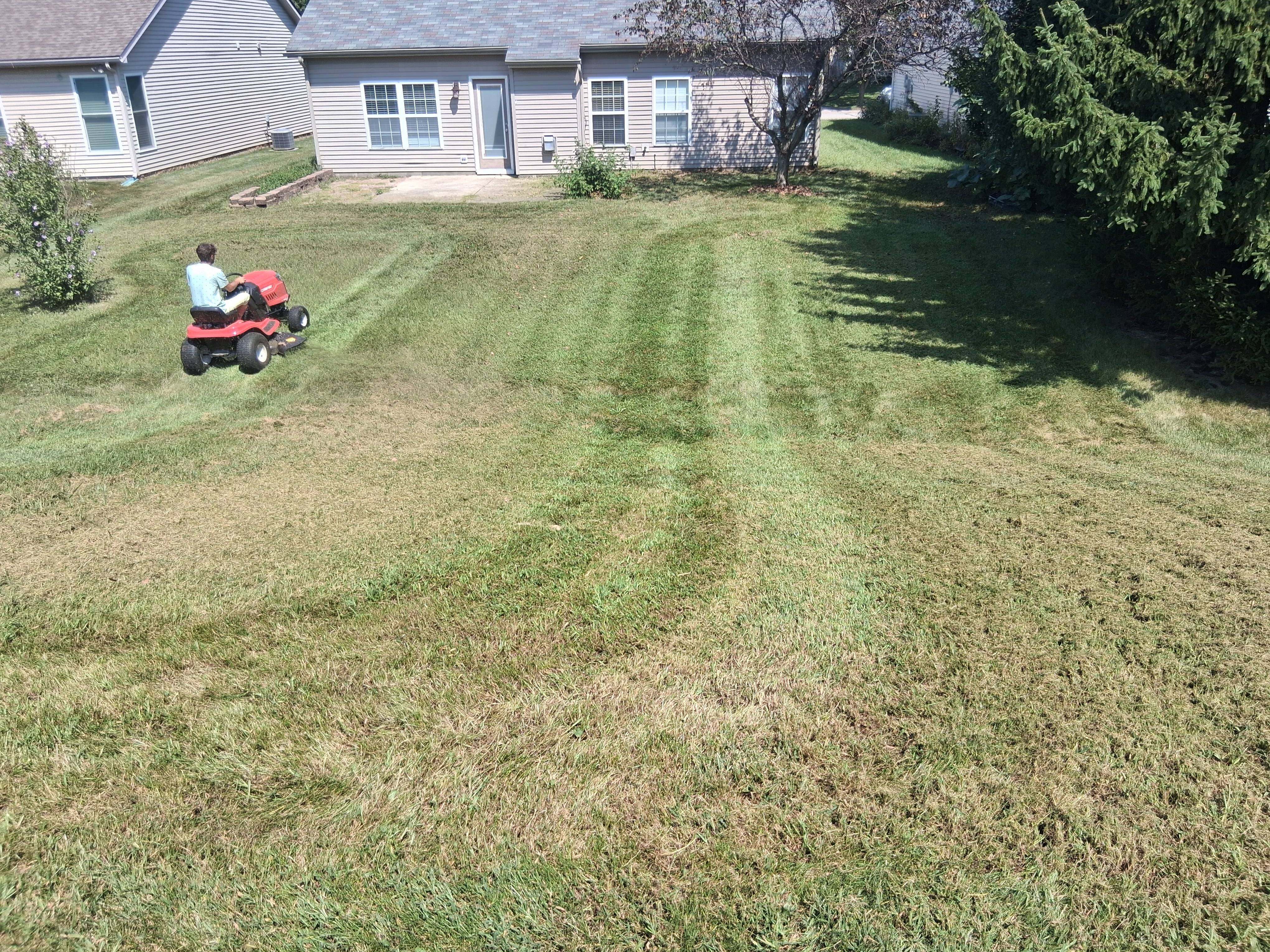 Mowing Lawns