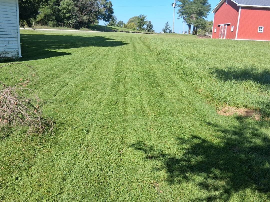 Outstanding mowing