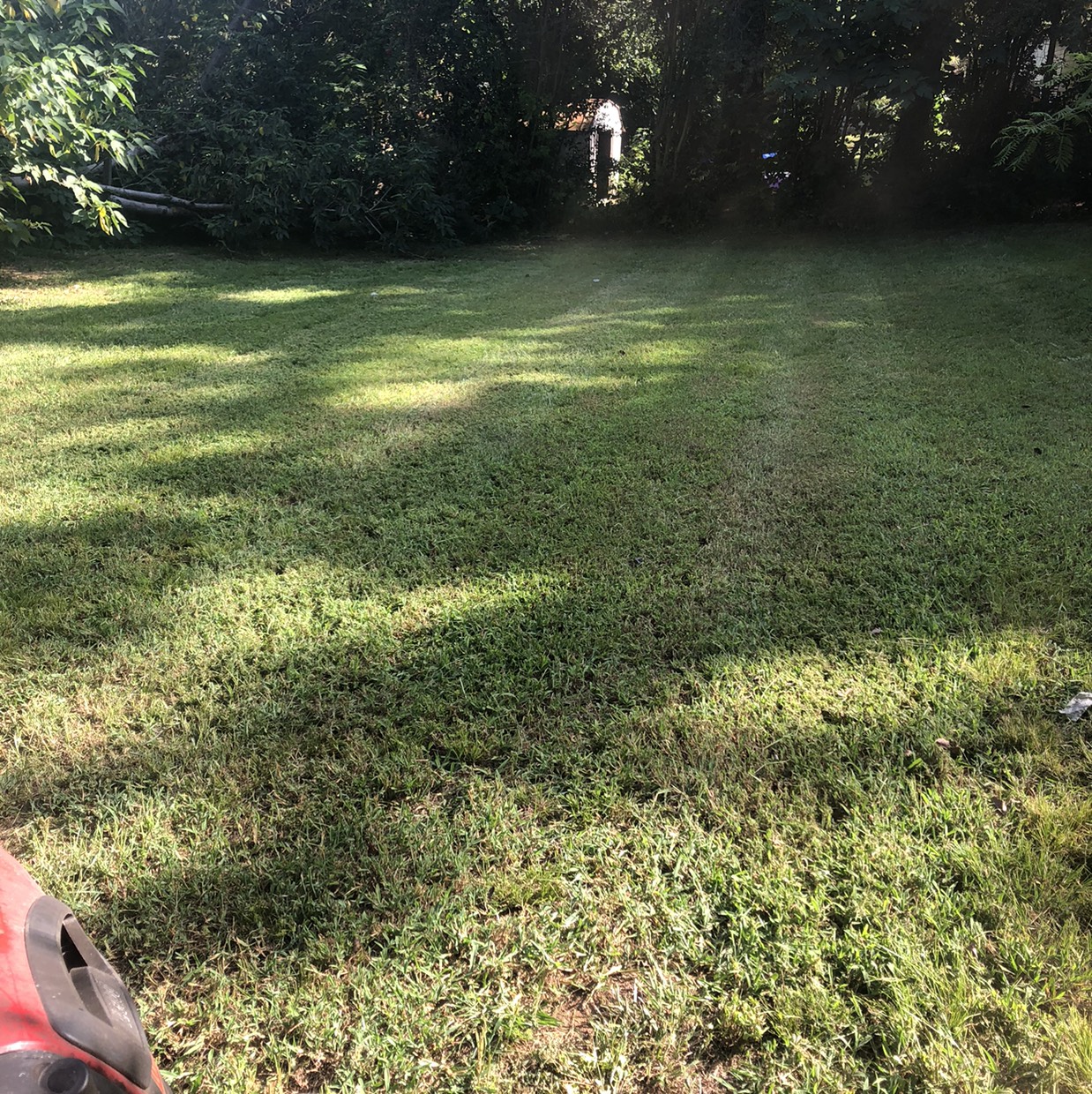 Showcase work by Drewery Boys Lawn Care