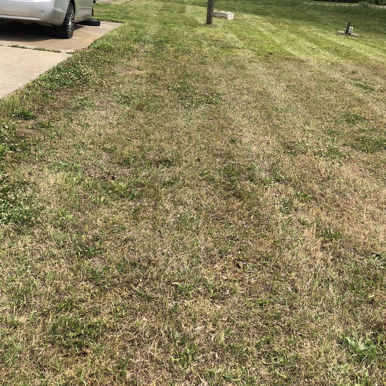 Showcase work by Drewery Boys Lawn Care