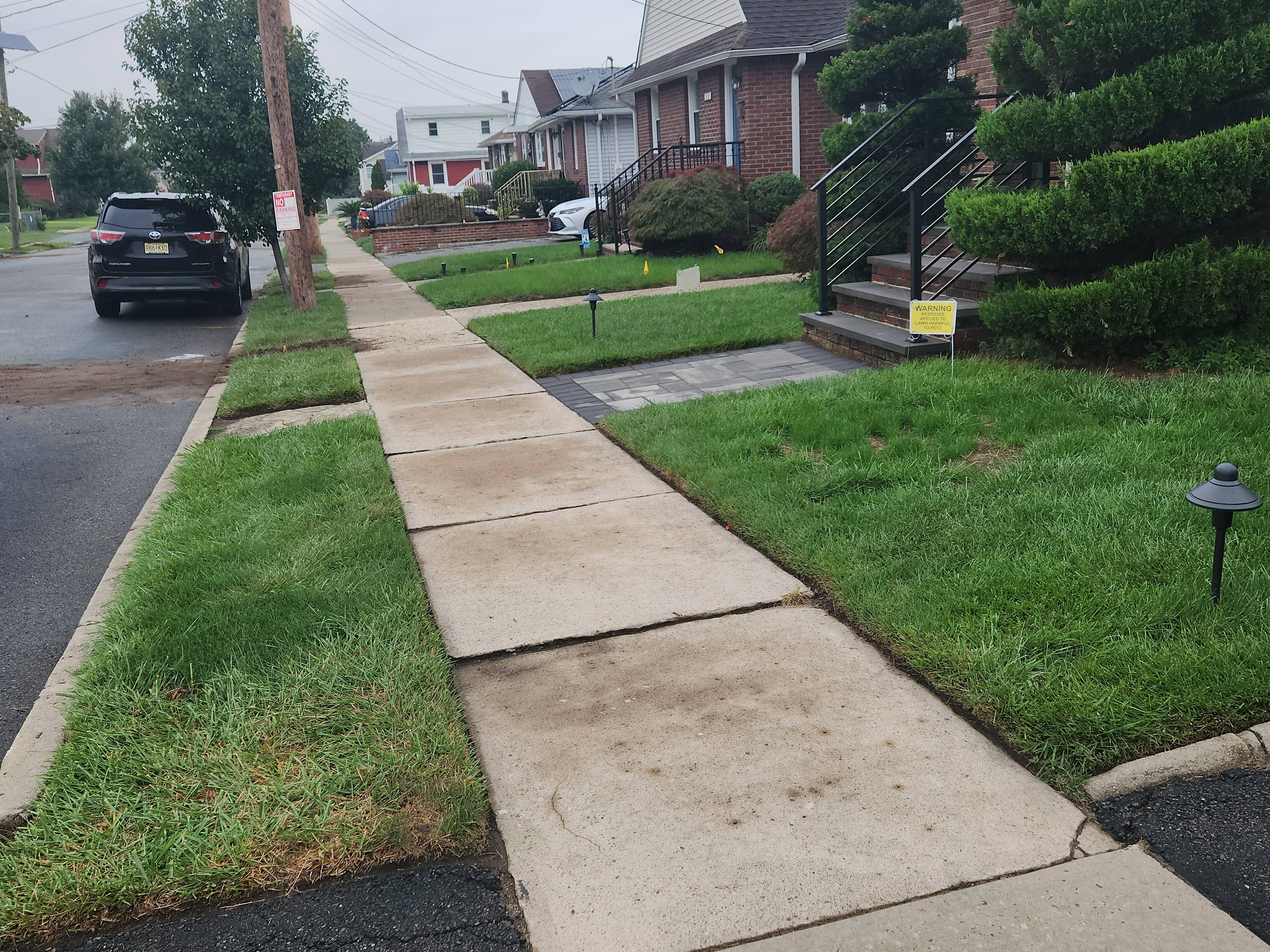 Lyndhurst Lawns