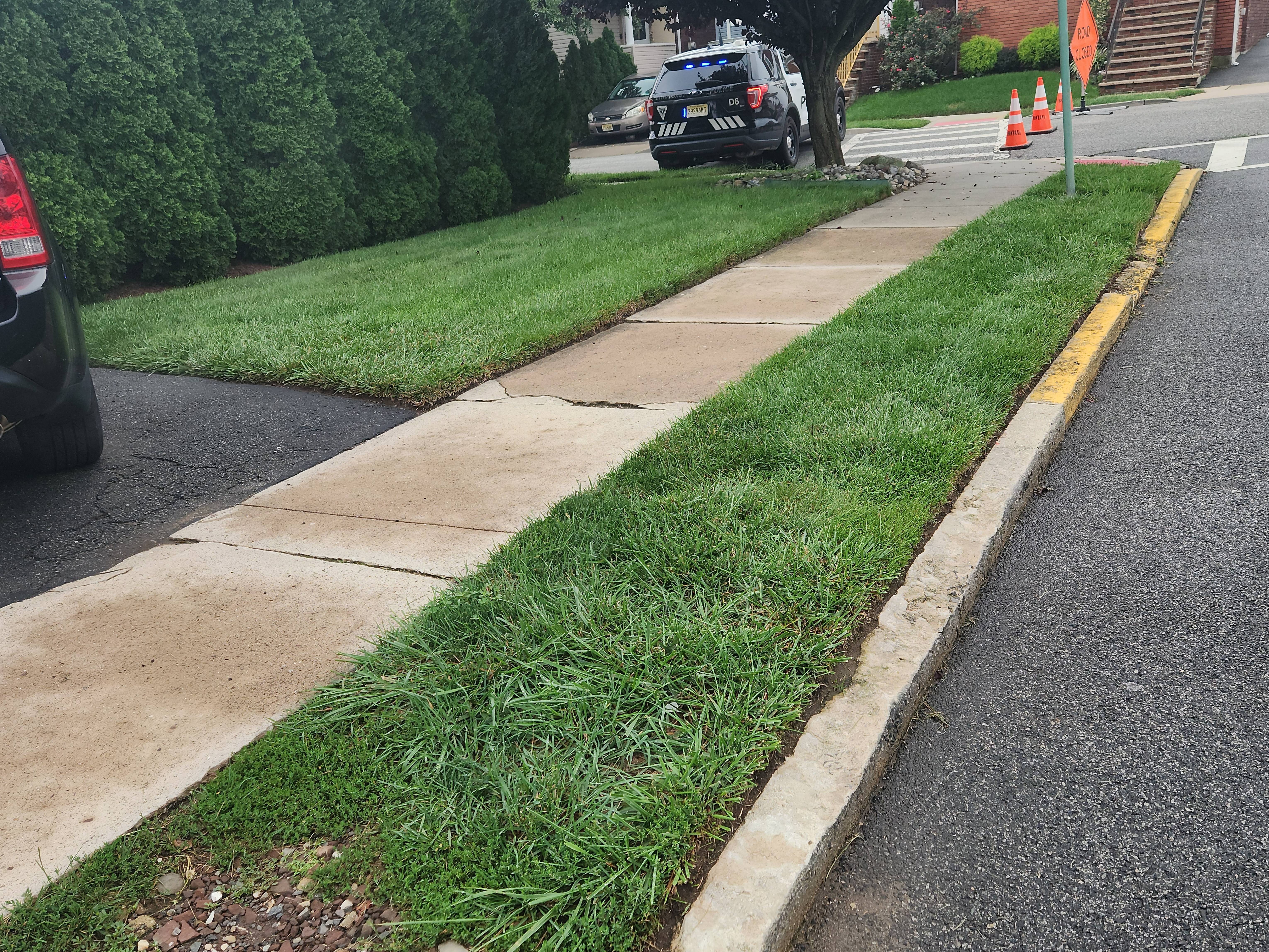 Showcase work by Lyndhurst Lawns