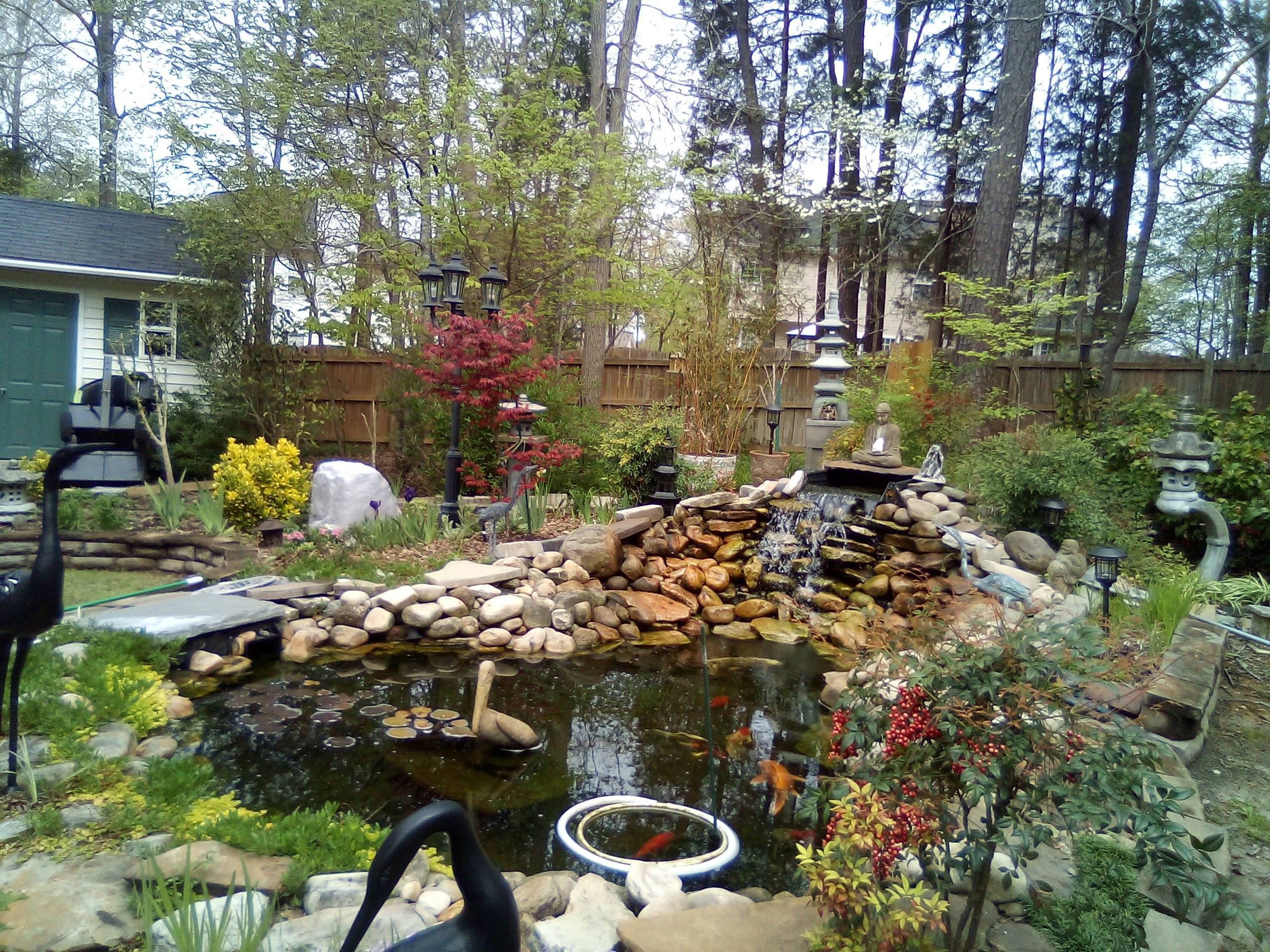 Hanna's Landscape